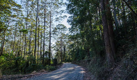 Hastings Forest Way Touring Route - Australia Accommodation 3