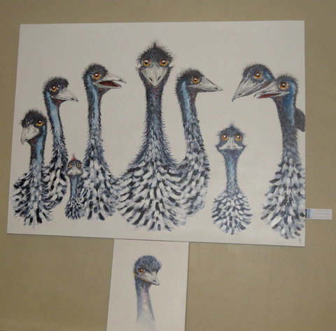 Galleries In The Gardens - Australia Accommodation 1