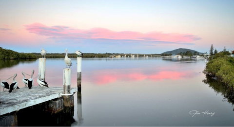 Galleries In The Gardens - Australia Accommodation 3