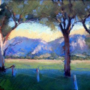 Galleries In The Gardens - Australia Accommodation 4