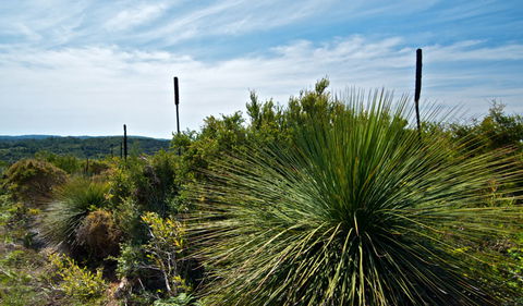 Munmorah State Conservation Area - Australia Accommodation 1