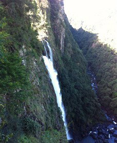 Ellenborough Falls - Australia Accommodation 0