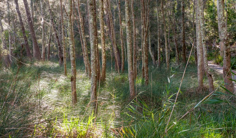 Bewong NSW Australia Accommodation