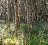 Anabranch loop track - Australia Accommodation