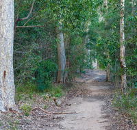 Delta track - Australia Accommodation