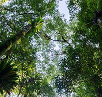 Botanic walk - Australia Accommodation