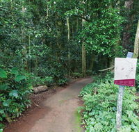Walk with the Birds boardwalk - Australia Accommodation