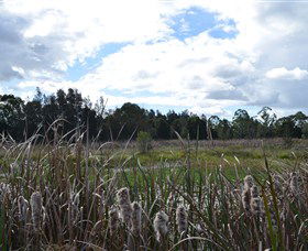 Jabiru Geenbeebeinga Wetlands - Australia Accommodation 1