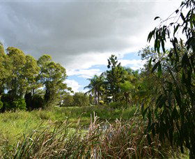 Jabiru Geenbeebeinga Wetlands - Australia Accommodation 2