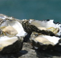 Jim Wilds Oyster Service - Australia Accommodation