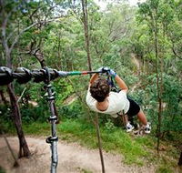 TreeTop Challenge - Australia Accommodation
