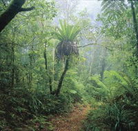 Wagawn - Australia Accommodation