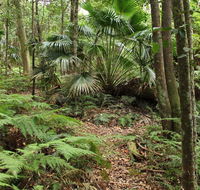Durras Lake Discovery trail - Australia Accommodation