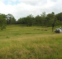 Numinbah Valley Adventure Trails - Australia Accommodation