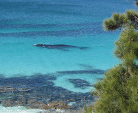 Jervis Bay Marine Park - Australia Accommodation 0