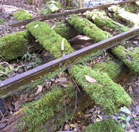 Wootton Historical Railway Walk - Australia Accommodation