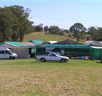 Tinonee Orchid Nursery - Australia Accommodation
