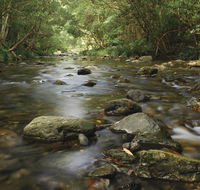 Plateau Circuit loop trail - Australia Accommodation