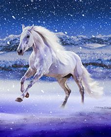 Australian Outback Spectacular: High Country Legends - Australia Accommodation 1