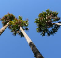 Bindarri National Park