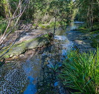 Dawson River walking track - Australia Accommodation