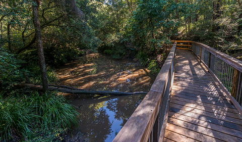 Ms Kellys Walking Track - Australia Accommodation 0