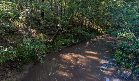 Ms Kellys Walking Track - Australia Accommodation 2