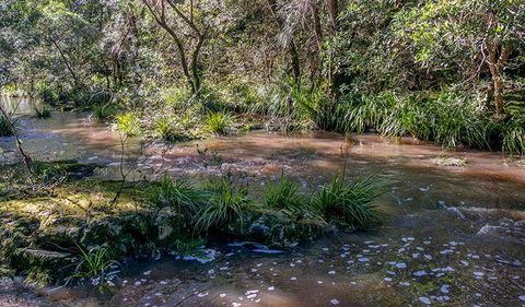 Ms Kellys Walking Track - Australia Accommodation 3