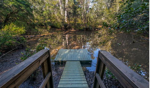 Brimbin Picnic Area - Australia Accommodation 1