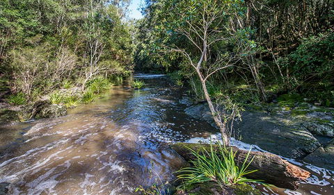 Brimbin Picnic Area - Australia Accommodation 2