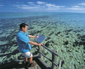 Hamelin Pool Stromatolites - Australia Accommodation 2