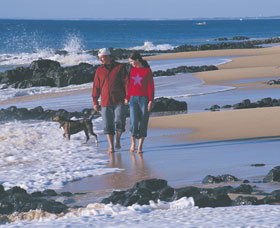 Back Beach - Australia Accommodation 0