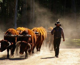 Timbertown Heritage Theme Park - Australia Accommodation 1
