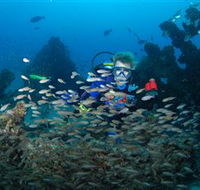 Aarhus Dive Site - Australia Accommodation
