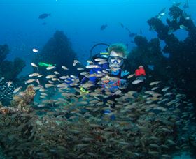 Aarhus Dive Site - Australia Accommodation 0