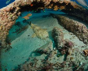 Aarhus Dive Site - Australia Accommodation 3