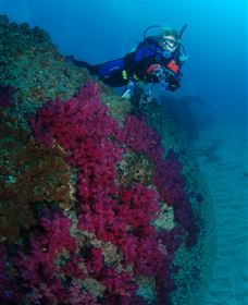 Aarhus Dive Site - Australia Accommodation 2