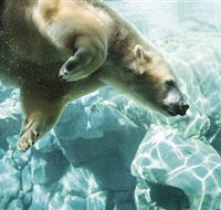 Australia's Sea World - Australia Accommodation