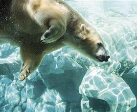 Australia's Sea World - Australia Accommodation 0