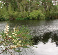 Wallingat National Park - Australia Accommodation