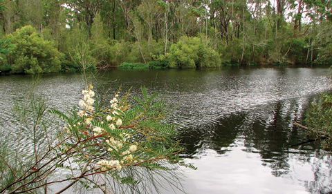 Wallingat National Park - Australia Accommodation 0