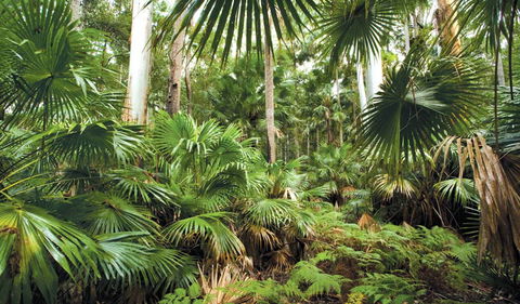Wallingat National Park - Australia Accommodation 3