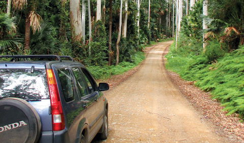 Wallingat National Park - Australia Accommodation 2