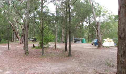 Wallingat National Park - Australia Accommodation 1