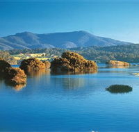 Wagonga Picnic Area - Australia Accommodation