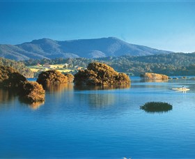 Wagonga Picnic Area - Australia Accommodation 0