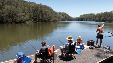 Bongil Bongil National Park - Australia Accommodation 1