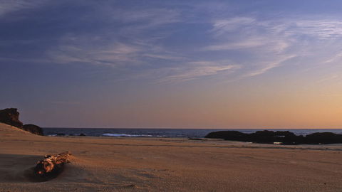 Bongil Bongil National Park - Australia Accommodation 2