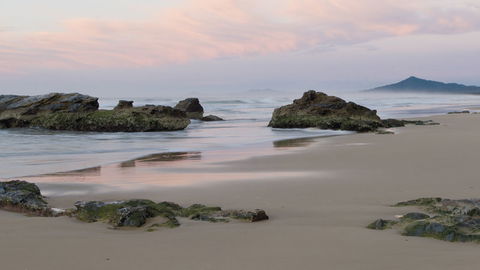 Bongil Bongil National Park - Australia Accommodation 3