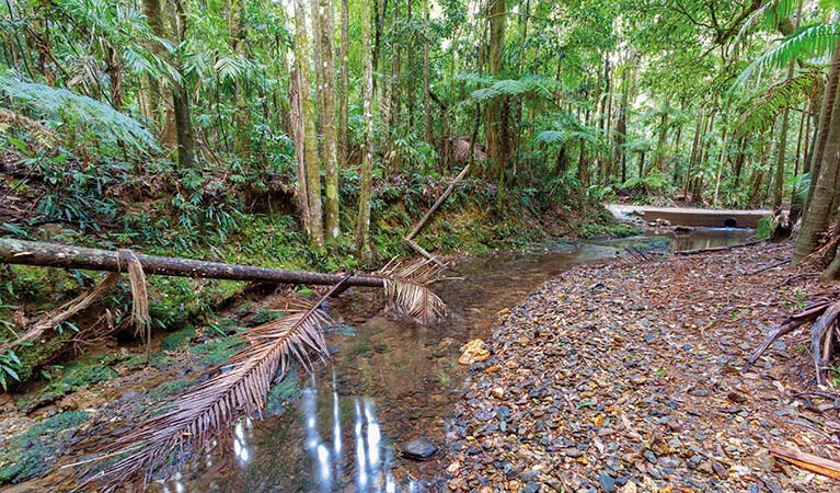 Karangi NSW Australia Accommodation